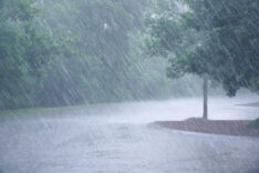 Heavy,Rain,And,Tree,In,The,Parking,Lot