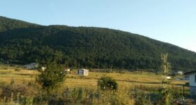 aluçdaı