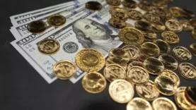 Altın ve dolar tahmini